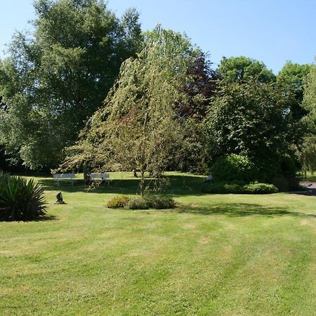 Kathleens Country House Lower Coolcorcoran Екстер'єр фото