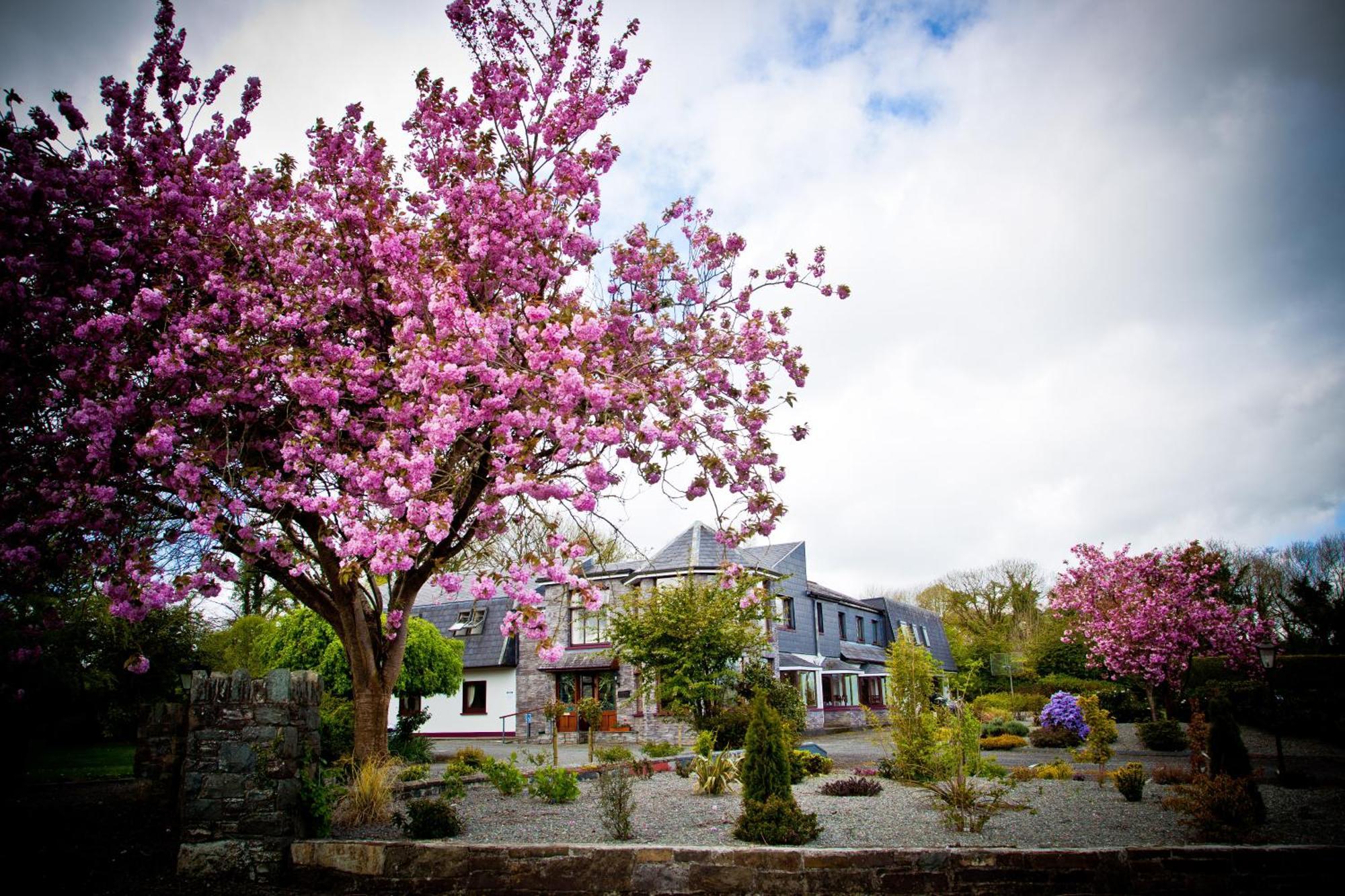 Kathleens Country House Lower Coolcorcoran Екстер'єр фото