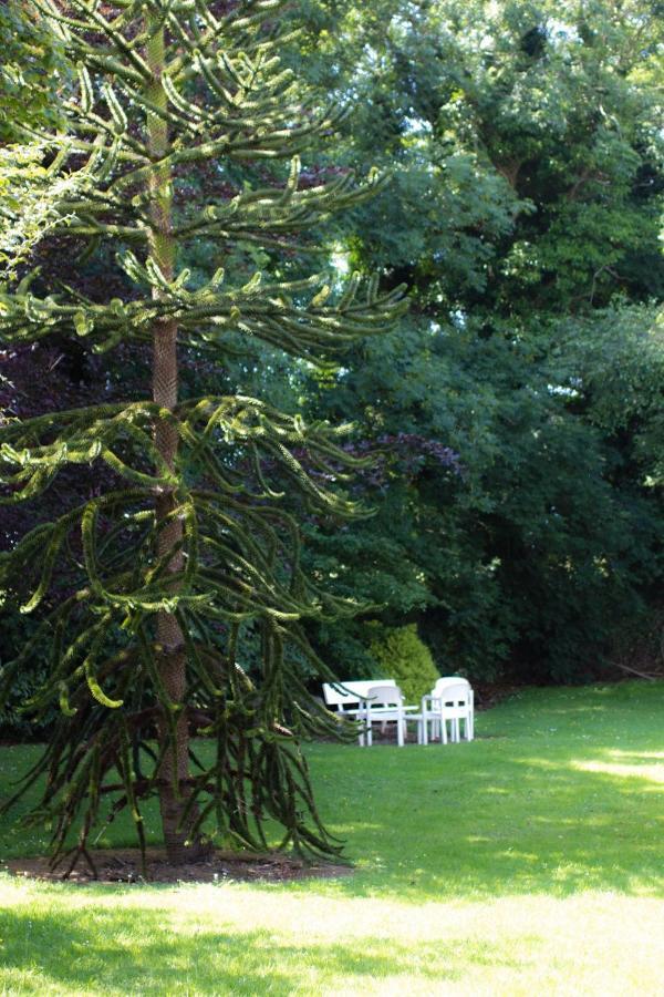 Kathleens Country House Lower Coolcorcoran Екстер'єр фото